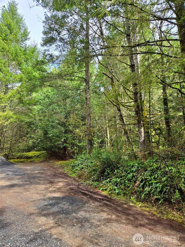 480 E Hedlund Dr, Shelton, WA 98584 - photo 10
