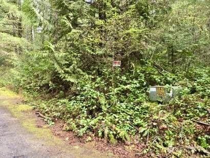 480 E Hedlund Dr, Shelton, WA 98584 - photo 17