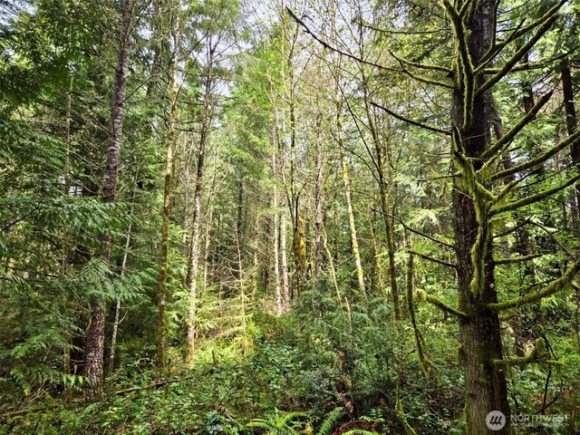 480 E Hedlund Dr, Shelton, WA 98584 - photo 12