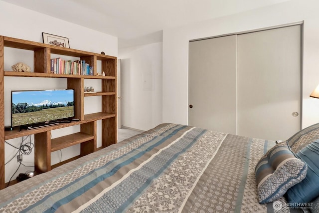 7806 Birch Bay Dr Unit 1107, Blaine, WA 98230 - bedroom with a closet