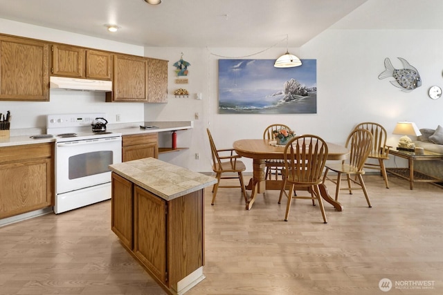7806 Birch Bay Dr Unit 1107, Blaine, WA 98230 - kitchen with under cabinet range hood, electric stove, light countertops, and light wood-type flooring