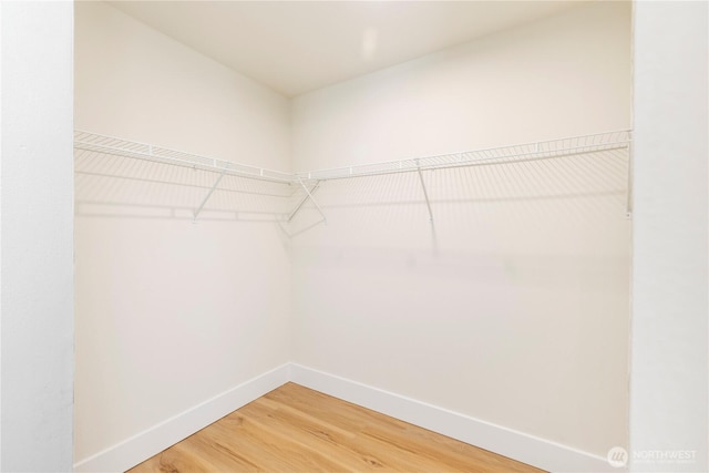 spacious closet with light wood-style flooring