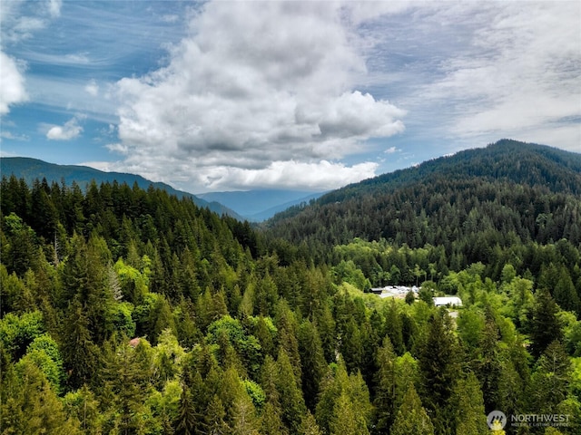 6 Sugarpine Pl, Bellingham, WA 98229 - photo 6