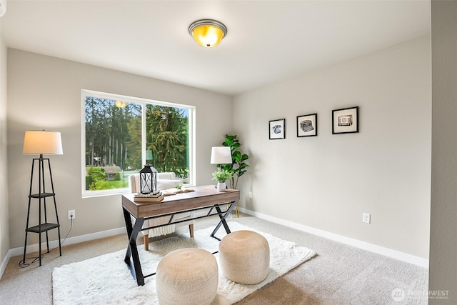 office space featuring baseboards and carpet