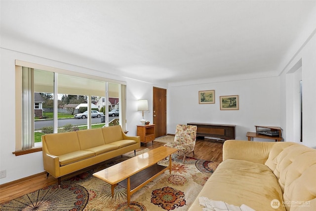 living area with wood finished floors