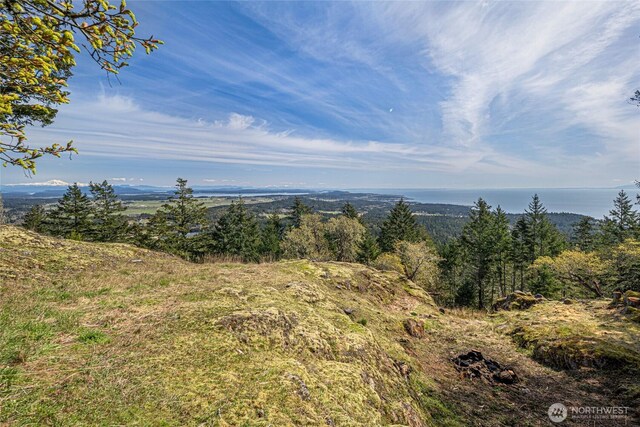 1 Stormridge Rd, Friday Harbor, WA 98250