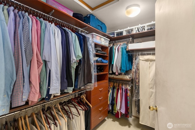 24507 SE 37th St, Sammamish, WA 98029 - view of walk in closet