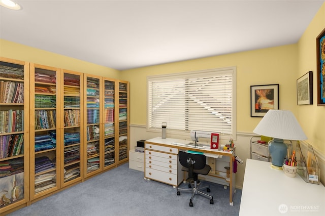 24507 SE 37th St, Sammamish, WA 98029 - carpeted office featuring a wainscoted wall