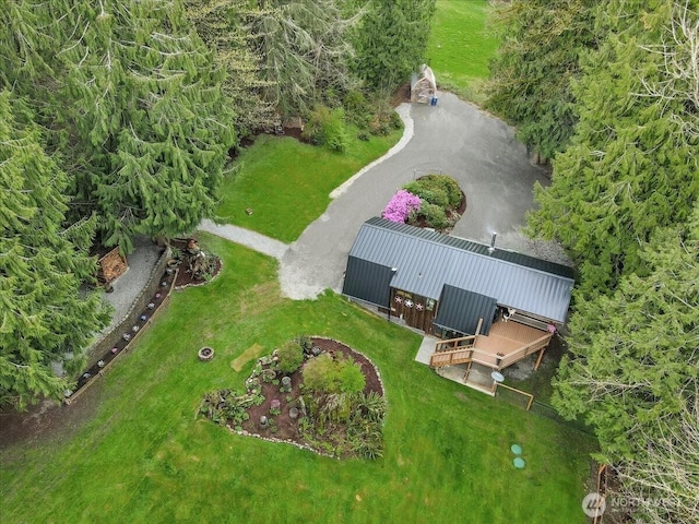 aerial view
