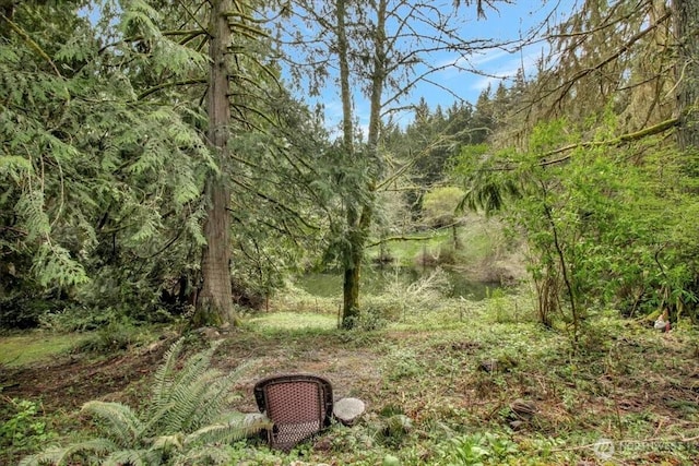view of landscape with a wooded view