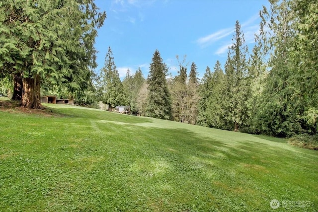 view of yard