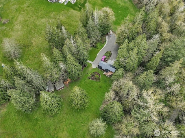 bird's eye view