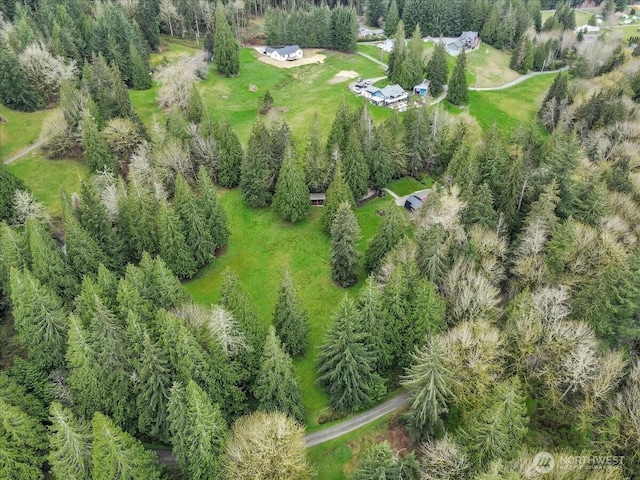 aerial view