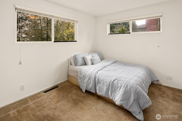 15544 Densmore Ave N, Shoreline, WA 98133 - bedroom with carpet flooring, baseboards, and visible vents