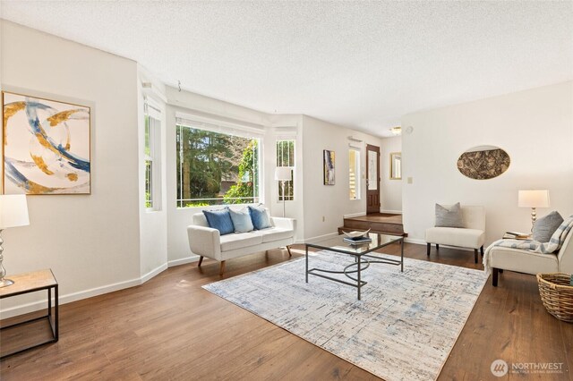 20817 29th Ave SE, Bothell, WA 98021 - living room with wood finished floors, baseboards, and a textured ceiling
