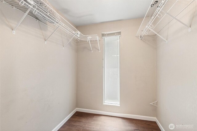 20817 29th Ave SE, Bothell, WA 98021 - walk in closet featuring wood finished floors