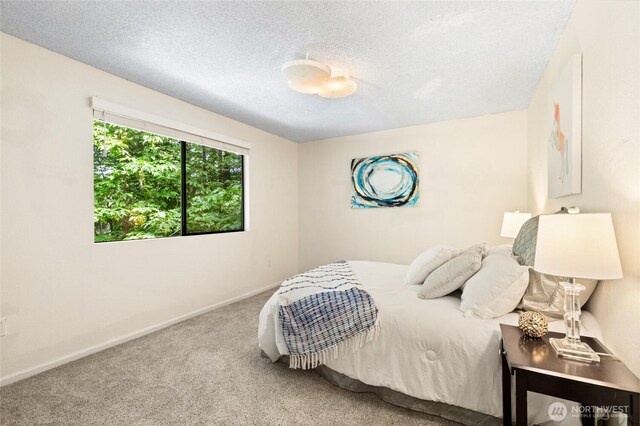 20817 29th Ave SE, Bothell, WA 98021 - bedroom featuring carpet, baseboards, and a textured ceiling