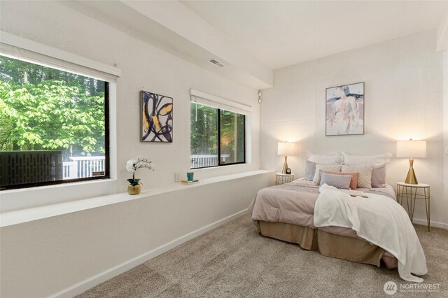 20817 29th Ave SE, Bothell, WA 98021 - bedroom with multiple windows, carpet, and baseboards