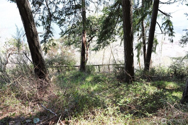 14811 71st St NW, Lakebay, WA 98349