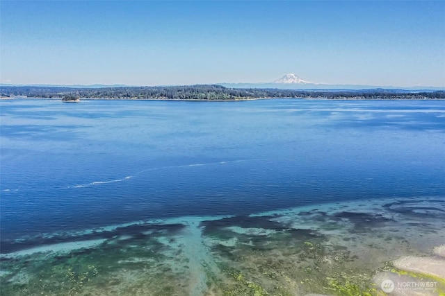 14811 71st St NW, Lakebay, WA 98349 - photo 1