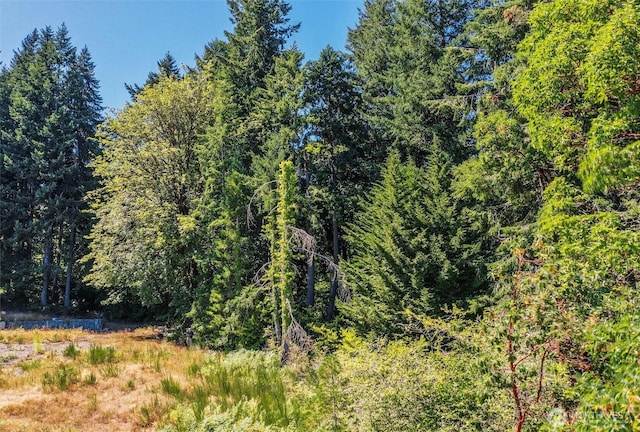 14811 71st St NW, Lakebay, WA 98349 - photo 28