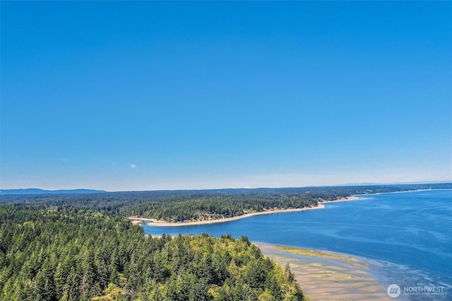 14811 71st St NW, Lakebay, WA 98349 - photo 29