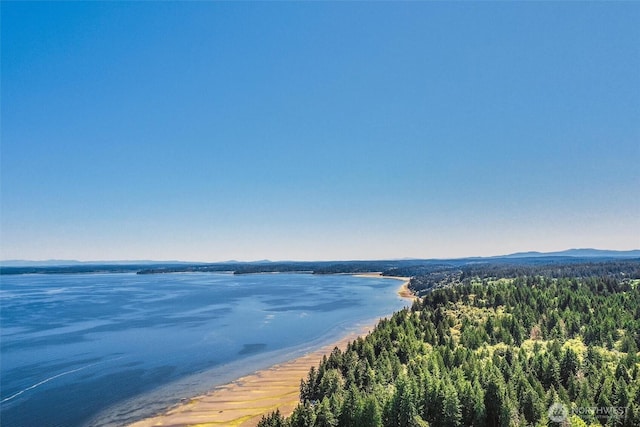 14811 71st St NW, Lakebay, WA 98349 - photo 30