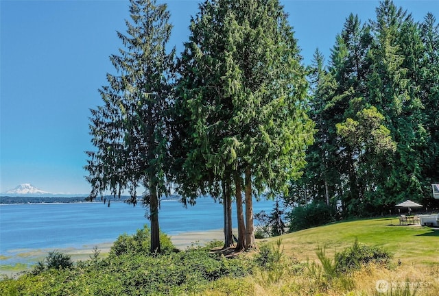 14811 71st St NW, Lakebay, WA 98349 - photo 31