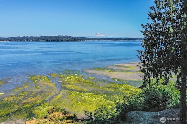14811 71st St NW, Lakebay, WA 98349 - photo 32