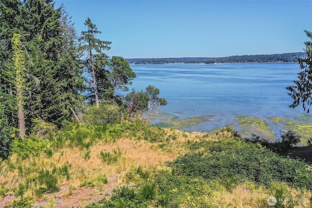 14811 71st St NW, Lakebay, WA 98349 - photo 33