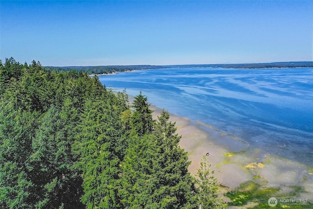 14811 71st St NW, Lakebay, WA 98349 - photo 34
