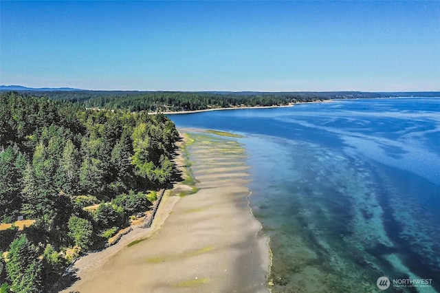 14811 71st St NW, Lakebay, WA 98349 - photo 35
