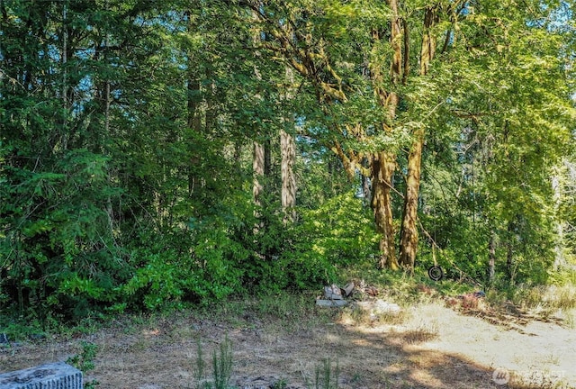 14811 71st St NW, Lakebay, WA 98349 - photo 38