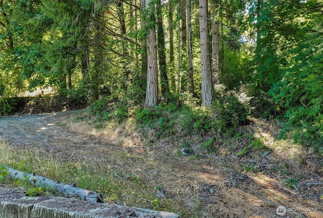 14811 71st St NW, Lakebay, WA 98349 - photo 39