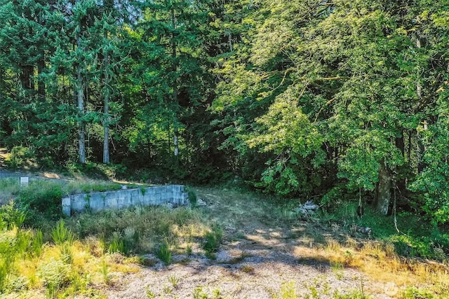 14811 71st St NW, Lakebay, WA 98349 - photo 40
