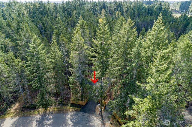 61 N Kings Way S, Hoodsport, WA 98548 - photo 19