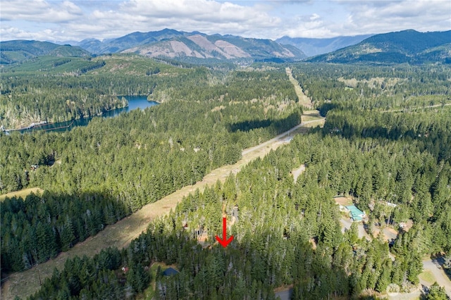 61 N Kings Way S, Hoodsport, WA 98548 - photo 20