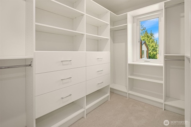 spacious closet with light carpet
