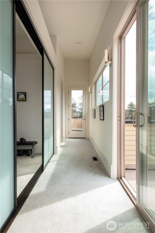 11116 SE 4th St, Bellevue, WA 98004 - corridor featuring visible vents and carpet flooring
