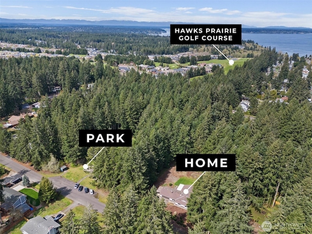 8710 Homestead Ave NE, Olympia, WA 98516 - aerial view featuring a wooded view and a water view
