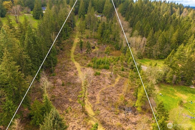 37902 278th Ave SE, Enumclaw, WA 98022 - birds eye view of property