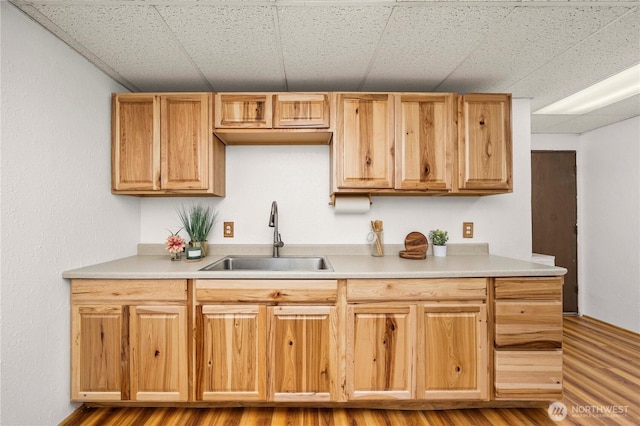 37902 278th Ave SE, Enumclaw, WA 98022 - kitchen featuring a paneled ceiling, light countertops, light wood-style flooring, and a sink