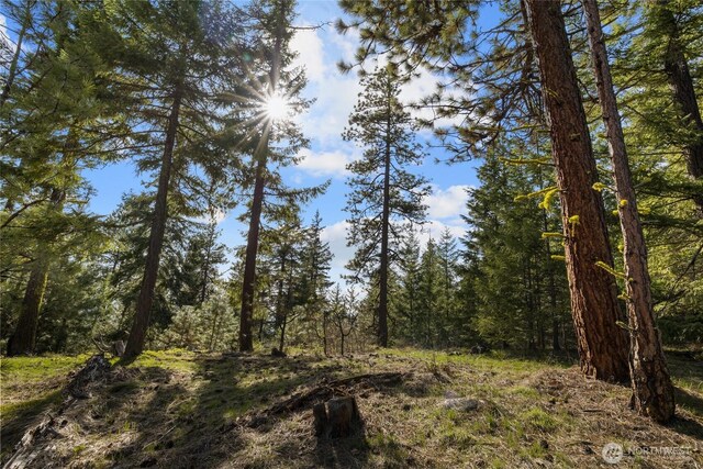 0LotB R&R Heights, Roslyn, WA 98941 - photo 5