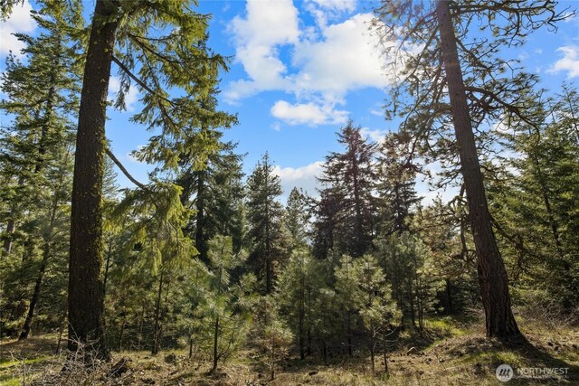 0LotB R&R Heights, Roslyn, WA 98941 - photo 6