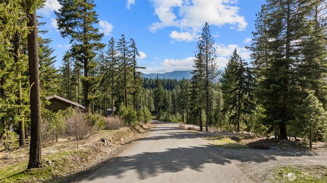 0LotB R&R Heights, Roslyn, WA 98941 - photo 8