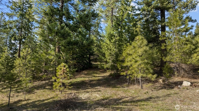 0LotB R&R Heights, Roslyn, WA 98941 - photo 7