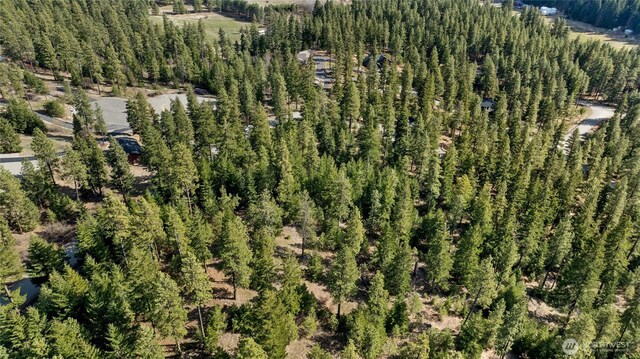 0LotB R&R Heights, Roslyn, WA 98941 - photo 11