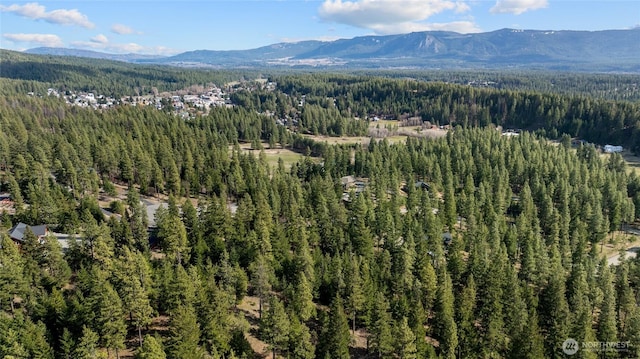 0LotB R&R Heights, Roslyn, WA 98941 - photo 12