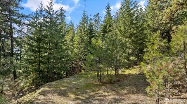 0LotB R&R Heights, Roslyn, WA 98941 - photo 4