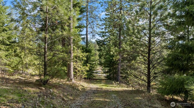 0LotB R&R Heights, Roslyn, WA 98941 - photo 3